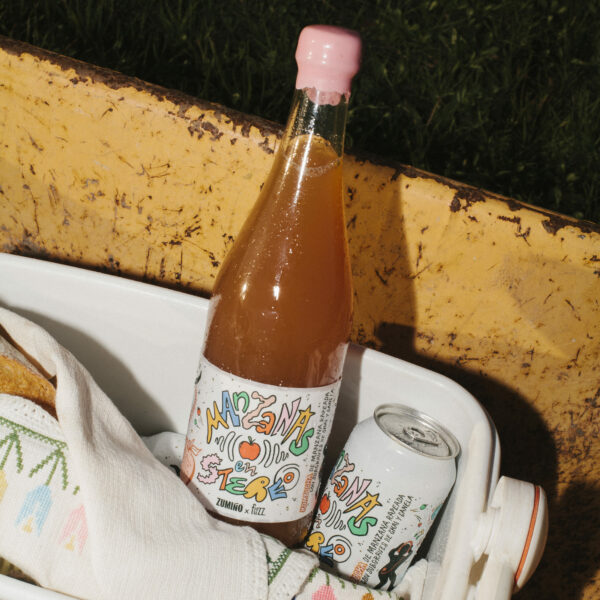 kombucha botella